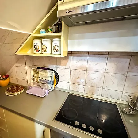 Bosnian House בית נופש *